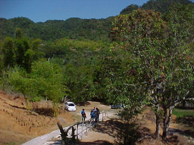 MVC_007F_001.jpg