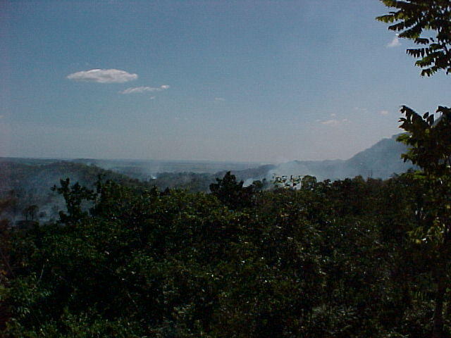 MVC_008F_001.jpg