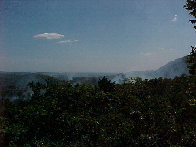 MVC_009F_001.jpg