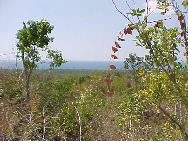 MVC_011F.jpg