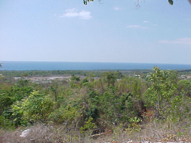 MVC_013F.jpg