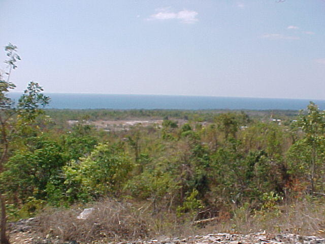 MVC_014F.jpg