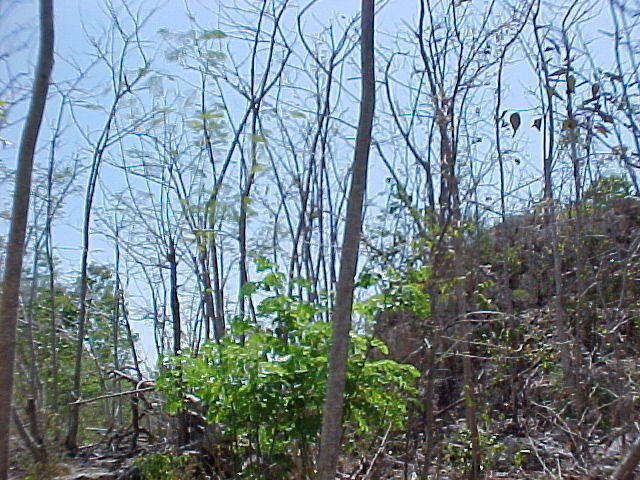 MVC_015F.jpg