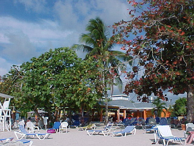 MVC_008F.jpg