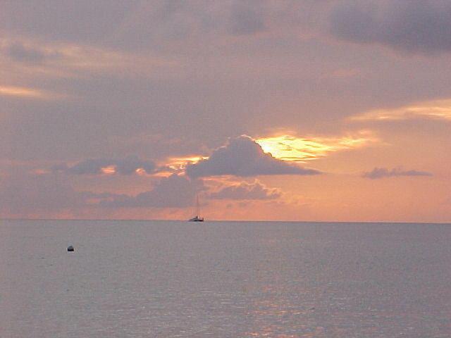 MVC_008F_001.jpg