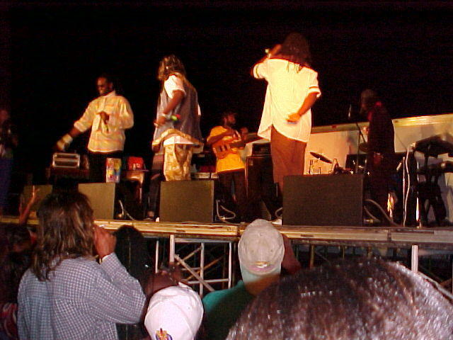 MVC_038F_001.jpg