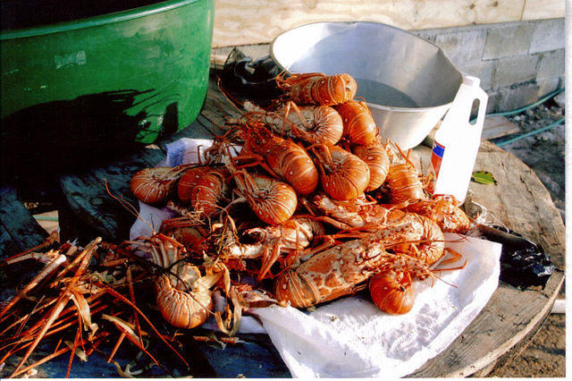 3-Dives feast.