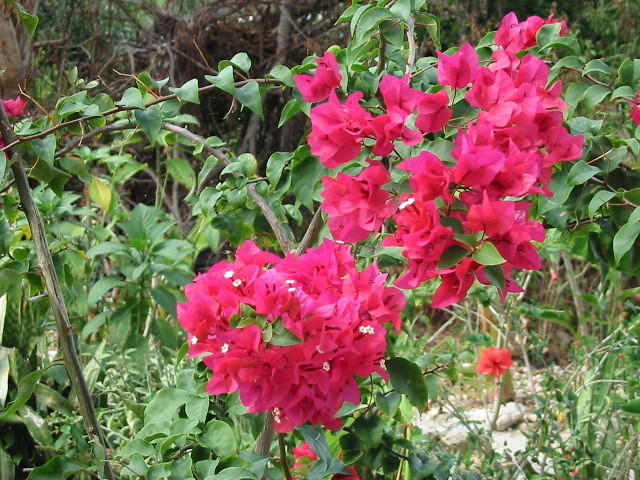 What a wonderful colour