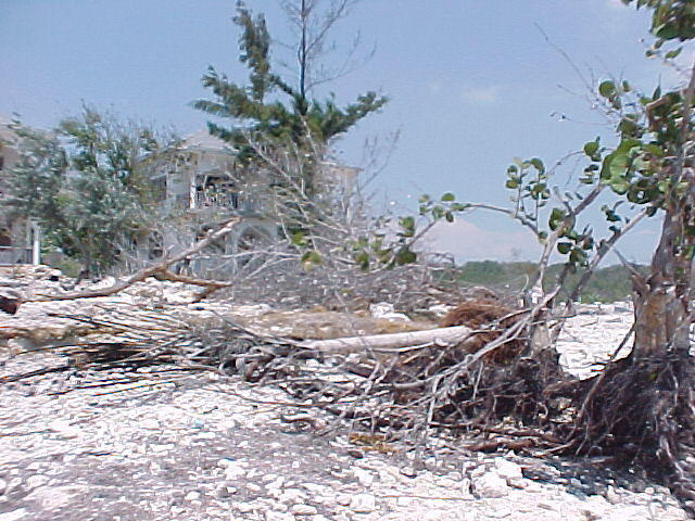 MVC-003F
