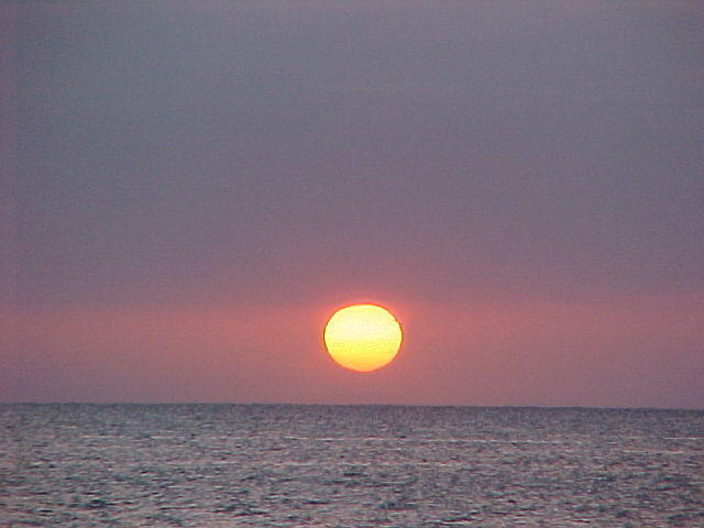 MVC_006F_001.jpg