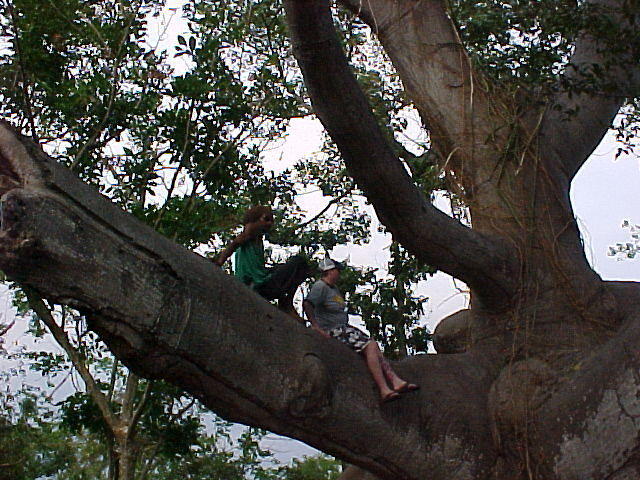 MVC_007F_003.jpg