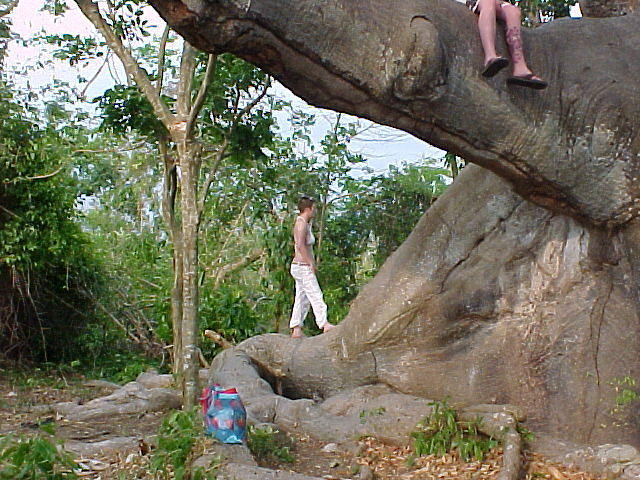 MVC_008F_002.jpg