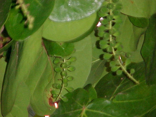 MVC_005F.jpg
