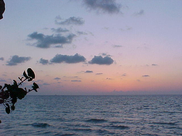 MVC_022F.jpg