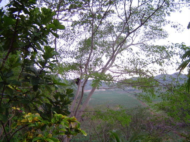 Dsc00331.jpg