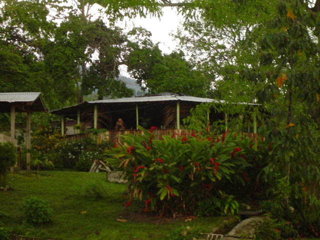 Dsc00333.jpg