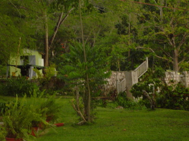 Dsc00335.jpg