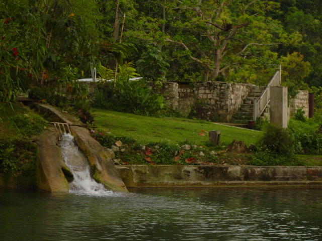 Dsc00337.jpg