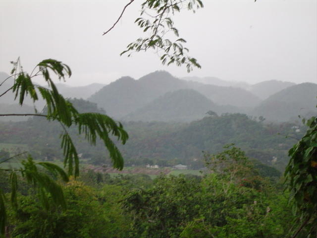 Dsc00339.jpg