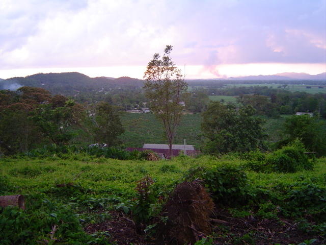 Dsc00346.jpg
