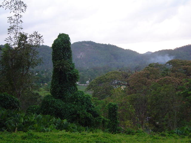 Dsc00347.jpg