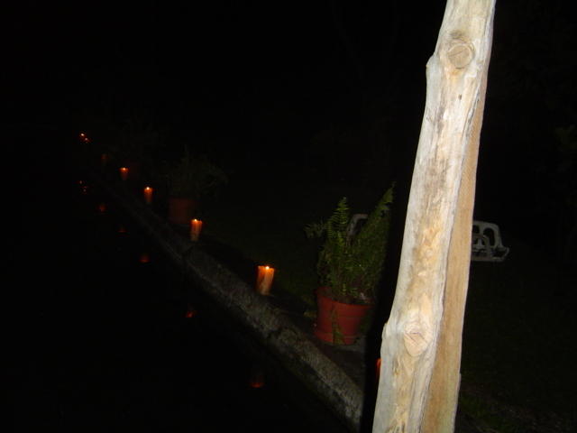 Dsc00353.jpg