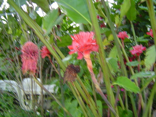 Dsc00358.jpg