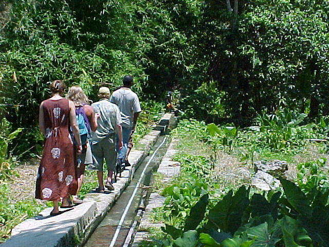 Part of the Nature Walk