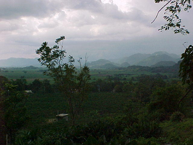 MVC_001F_011.jpg