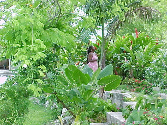 MVC_002F_006.jpg