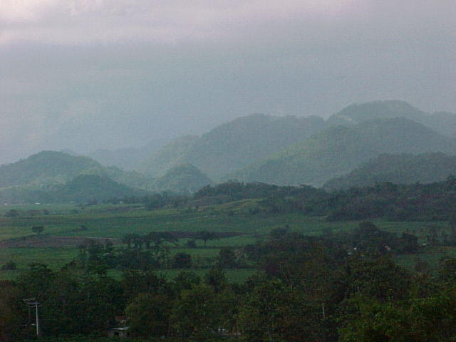 MVC_002F_011.jpg