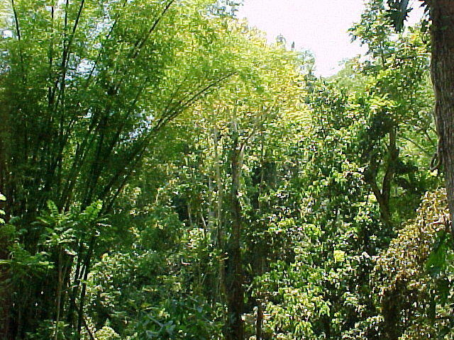 MVC_003F_001.jpg