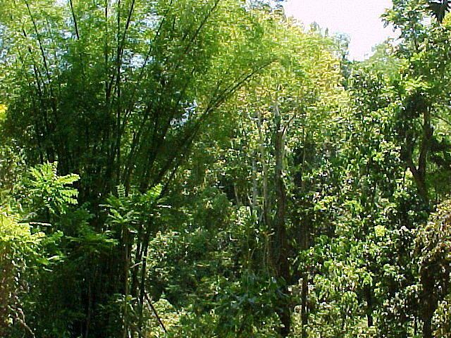 MVC_004F_001.jpg