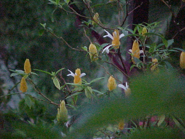 MVC_004F_012.jpg