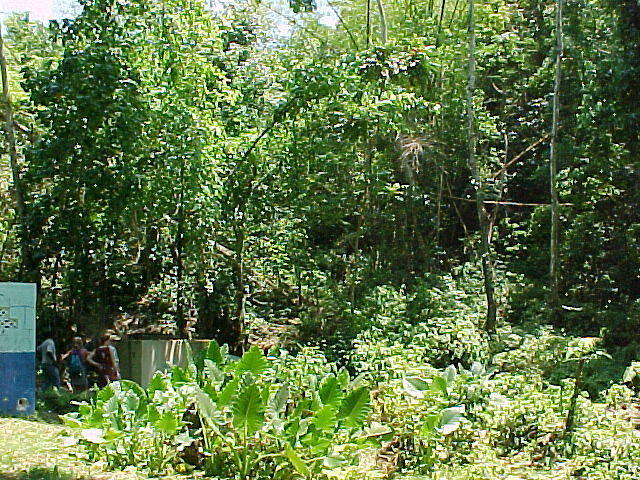 MVC_005F_001.jpg