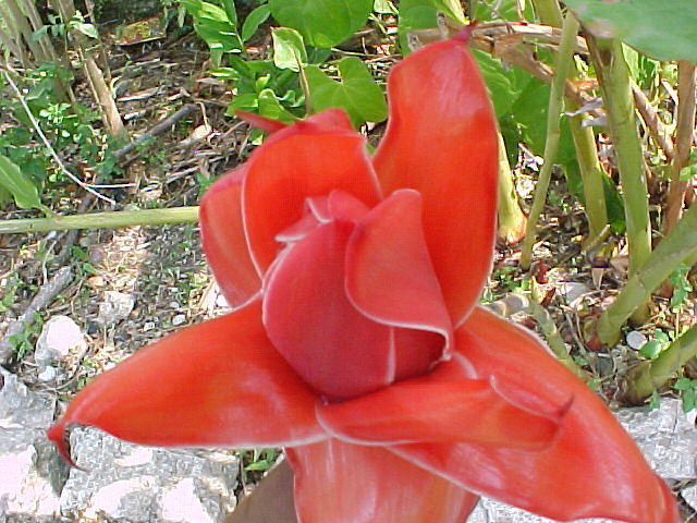 MVC_005F_002.jpg