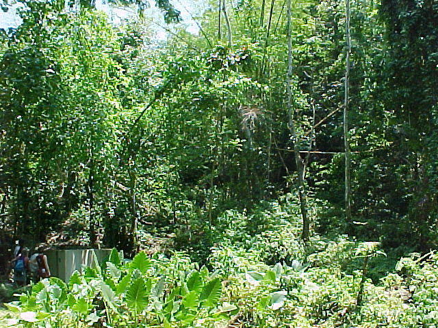 MVC_006F.jpg