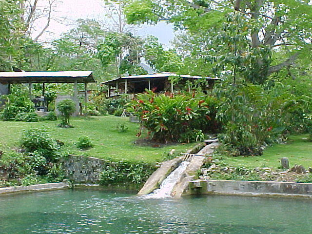 MVC_006F_004.jpg