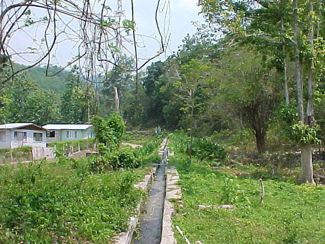 MVC_007F_003.jpg