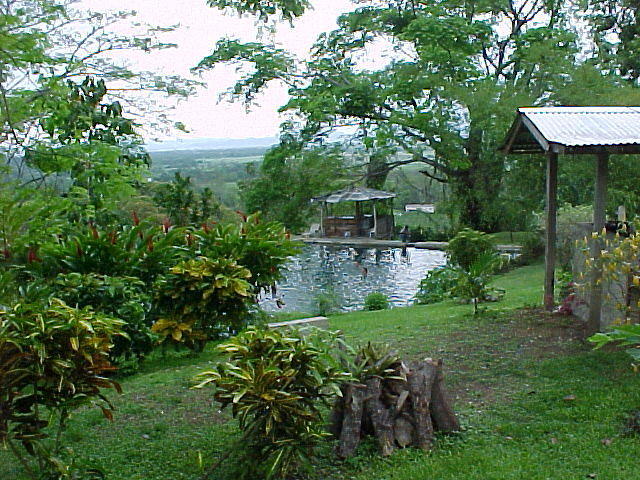 MVC_007F_006.jpg