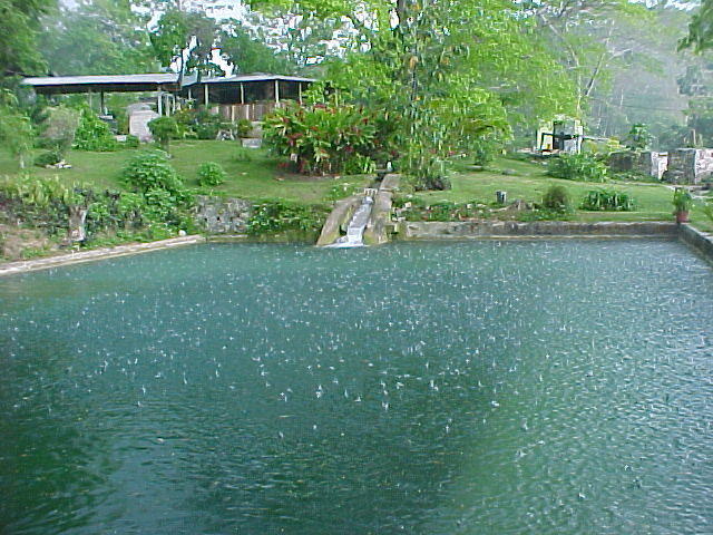 MVC_007F_008.jpg