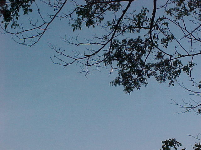 MVC_009F_007.jpg