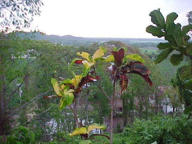 MVC_010F_006.jpg