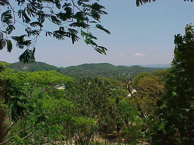 MVC_011F.jpg