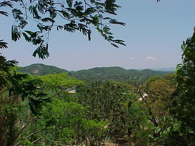 MVC_012F.jpg