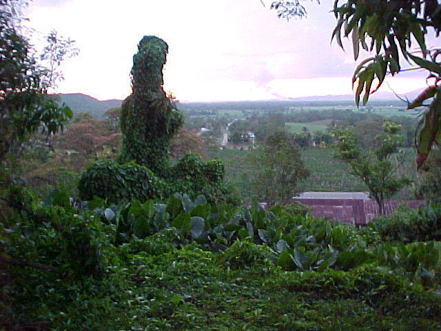 MVC_012F_005.jpg