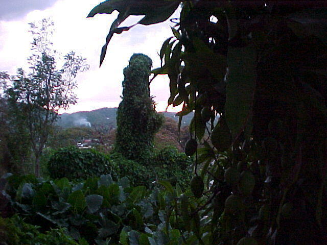MVC_013F_005.jpg