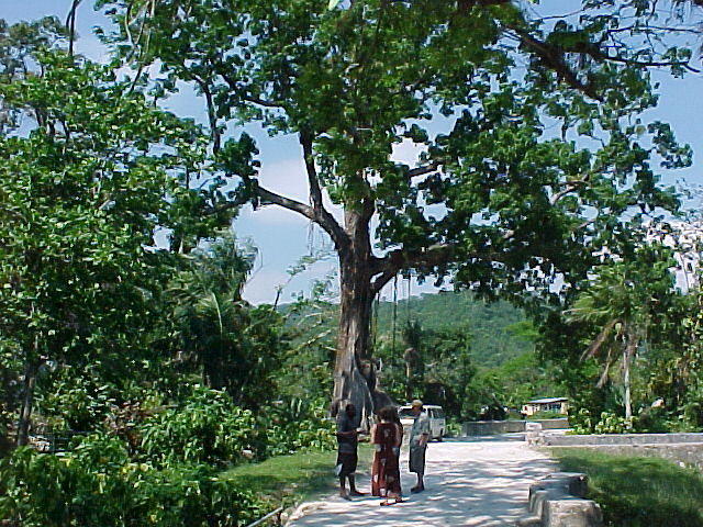 MVC_006F.jpg