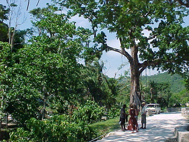 MVC_007F.jpg