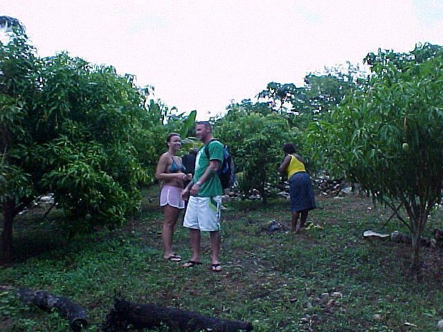 MVC_002F_005.jpg